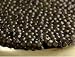 Paddlefish Caviar