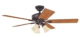 Hunter Ceiling Fans 23488 Newport Fan - New Bronze Builder Light Kit Indoor Fan 52 Span