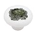 Hummer Crash Through Decorative High Gloss Ceramic Drawer Knob