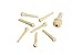 Planet Waves Injected Molded Bridge Pins with End Pin, Set of 7, Ivory with Black Dot