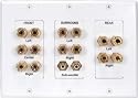 Dayton WPI-7.1 7.1 Channel Wall Plate