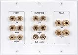 Dayton WPI-7.1 7.1 Channel Wall Plate