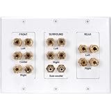 Dayton WPI-7.1 7.1 Channel Wall Plate