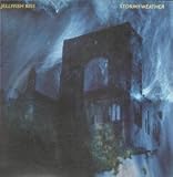 STORMY WEATHER LP CANADIAN SHIMMY DISC 1991