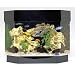Pet Supplies : SeaClear Mini-Kit