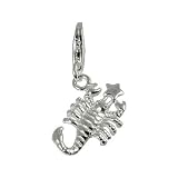 charms SilberDream 925 Sterling Silber Charm Sternzeichen Skorpion Anhänger für Armband Kette Ohrring