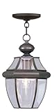 UPC 847284009080 product image for Livex Lighting 2152-07 Monterey 1-Light Outdoor Chain Hang, Bronze | upcitemdb.com