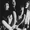Image of Fleshtones