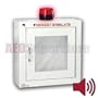 Standard Strobe & Alarm (Surface Mount) Cabinet - AMP180-14RSM