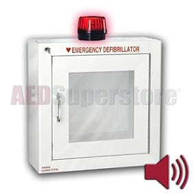 Standard Strobe & Alarm (Surface Mount) Cabinet - AMP180-14RSM