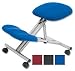 Trexus Kneeling Office Chair Steel Framed on Casto