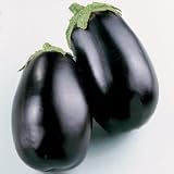 Organic Seeds - Organic Eggplant Black Beauty