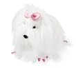 Dowgs Mitzi Maltese