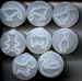 Animal Fondant Embosser Set