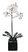 House of Silk Flowers Artificial 17-Inch Phalaenopsis Orchid, Mini, White