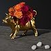 Roses - David Beahm New York
