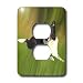 Dogs Border Collie - Border Collie - Light Switch Covers - 2 plug outlet cover