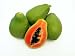 Gourmet Food : Melissa's Fresh Strawberry Papayas, Set of 4