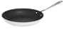 All-Clad Master Chef 2 Nonstick 12-Inch Fry Pan