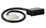 Monster iCruze Interface Cable Interface Cable- Pre-wired Ford (MPC FX IC-FD1)