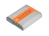 3.60V,950mAh,Li-ion,Hi-quality Replacement Digital Camera Battery for SONY Cyber-shot DSC-H, DSC-N, DSC-T, DSC-W100, DSC-W200, DSC-W30, DSC-W40, DSC-W50, DSC-W70, DSC-W80, DSC-W90, DSC-WX1 Series, Compatible Part Numbers: NP-BG1, NP-FG1