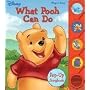 What Pooh Can Do (Little Pop Up Sound Book)