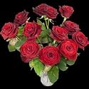 12 Red Roses - The Classic Dozen Red Rose Bouquet from InterRose the online Florist of Choice