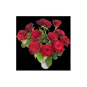 12 Red Roses - The Classic Dozen Red Rose Bouquet from InterRose the online Florist of Choice