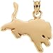 12.00X20.00 Mm 14K Yellow Gold Detroit Lions Pendant