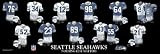 Seattle Seahawks 5 x 15 Uniform History Plaque