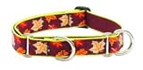 Lupine Large Martingale Style Dog Collar - Oak & Maple 15-22