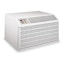Friedrich Wallmaster Thru-The-Wall Air Conditioner