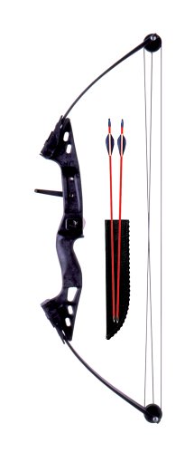 Bear Sharp Shooter Bow Set