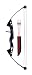 Sporting Goods : Bear Sharp Shooter Bow Set