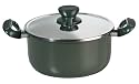 Tefal Activ Green Thermospot Stewpot and Lid, 24 cm