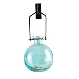 Single Hanging Aqua Glass Bottle Vase with Wall Hook