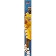 LeBron James Cleveland Cavaliers Kids NBA Growth Chart