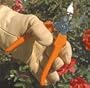 A.M. Leonard Standard Bypass Pruners