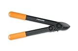 Fiskars 15-Inch PowerGear Anvil Lopper #7972