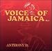 Voice of Jamaica
