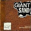 Giant Sandwich