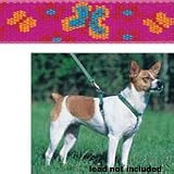 Adj. Harness 14-24 x 3/4 - Grr-ly Dog