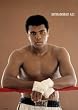 MUHAMMAD ALI BOXING NEW PHOTO ON ROPES POSTER - 24x36 Poster
