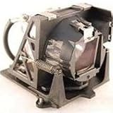 Electrified ACTION31080 Replacement Lamp with Housing for Projection Design Projectors