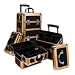 PROFESSIONAL BEAUTY CASE WITH WHEELS / GOLD FRAME (Black / Gold) (21H x 12W x 8.75D)