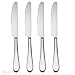 Oneida Icarus Icarus Place Knives, Set of 4 Flatware