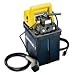 Enerpac PEM-1201B Submerged Electric Pump with 3 Way Valve and 115 Volts