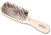  : Phillips Brush Light Touch Brush 6-p * Purse Size Brush