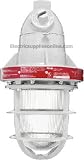 RAB Lighting EP124 Explosionproof Outdoor Pendant, Silver Gray