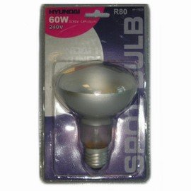 Childrens Toyshop  Electronics : Hyundai 60W 240V Screw Bulb 1 Pack (7020)